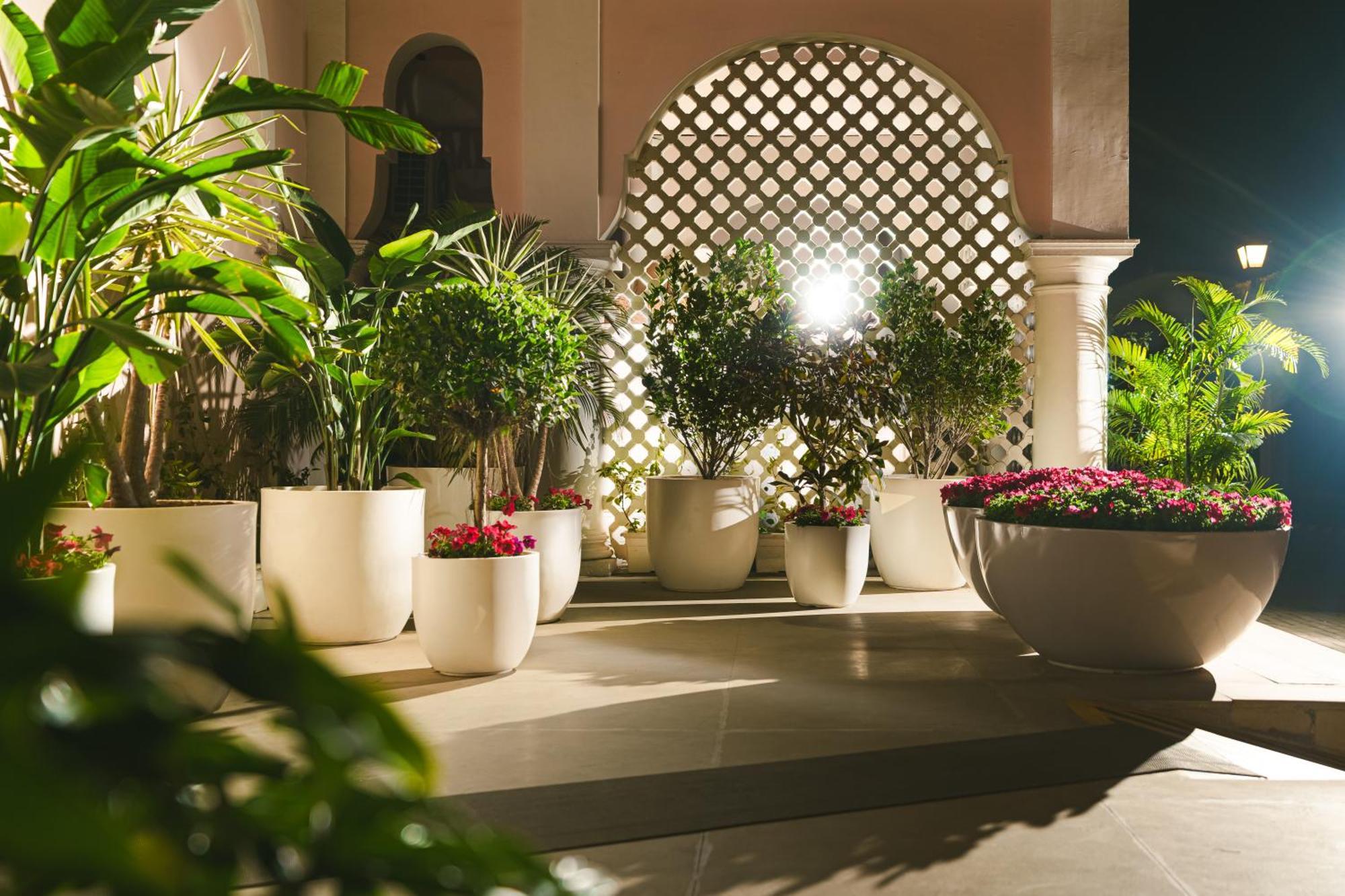 Dlf Club 5 Gurgaon